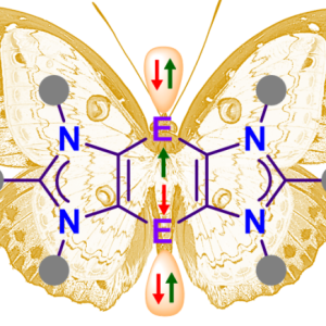 Diradicaloid